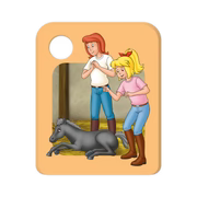 Bibi und Tina - Das Fohlen