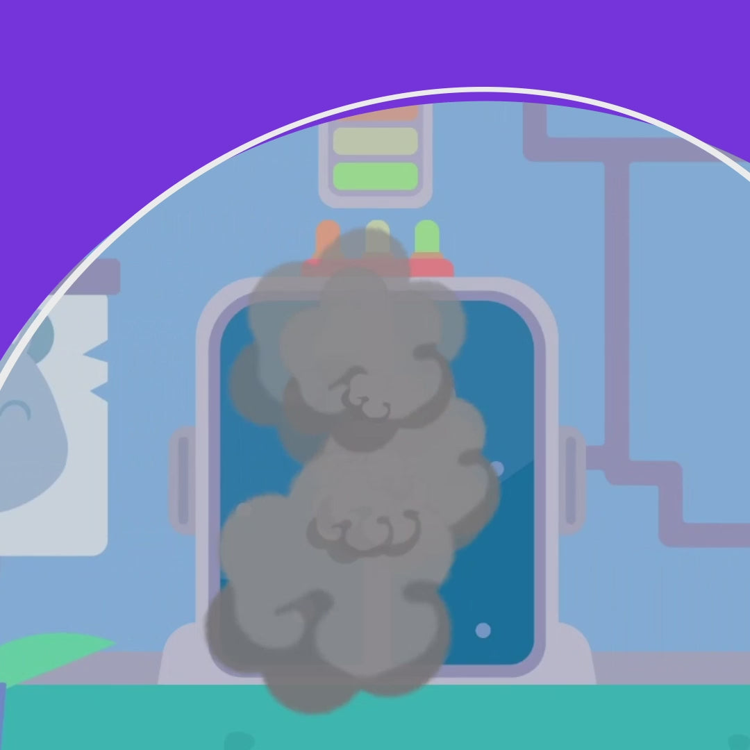 Ari "Meine Körperteile"